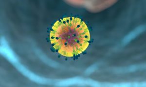 Corona Immune System Blood Cells  - allinonemovie / Pixabay